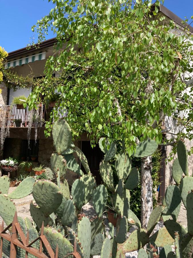 Tencarola B & B Exterior photo