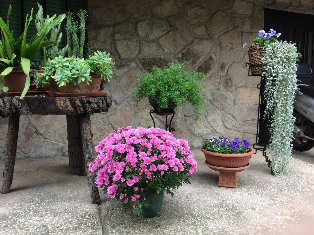 Tencarola B & B Exterior photo